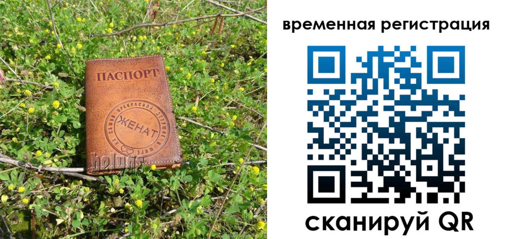 прописка регистрация в Фролово